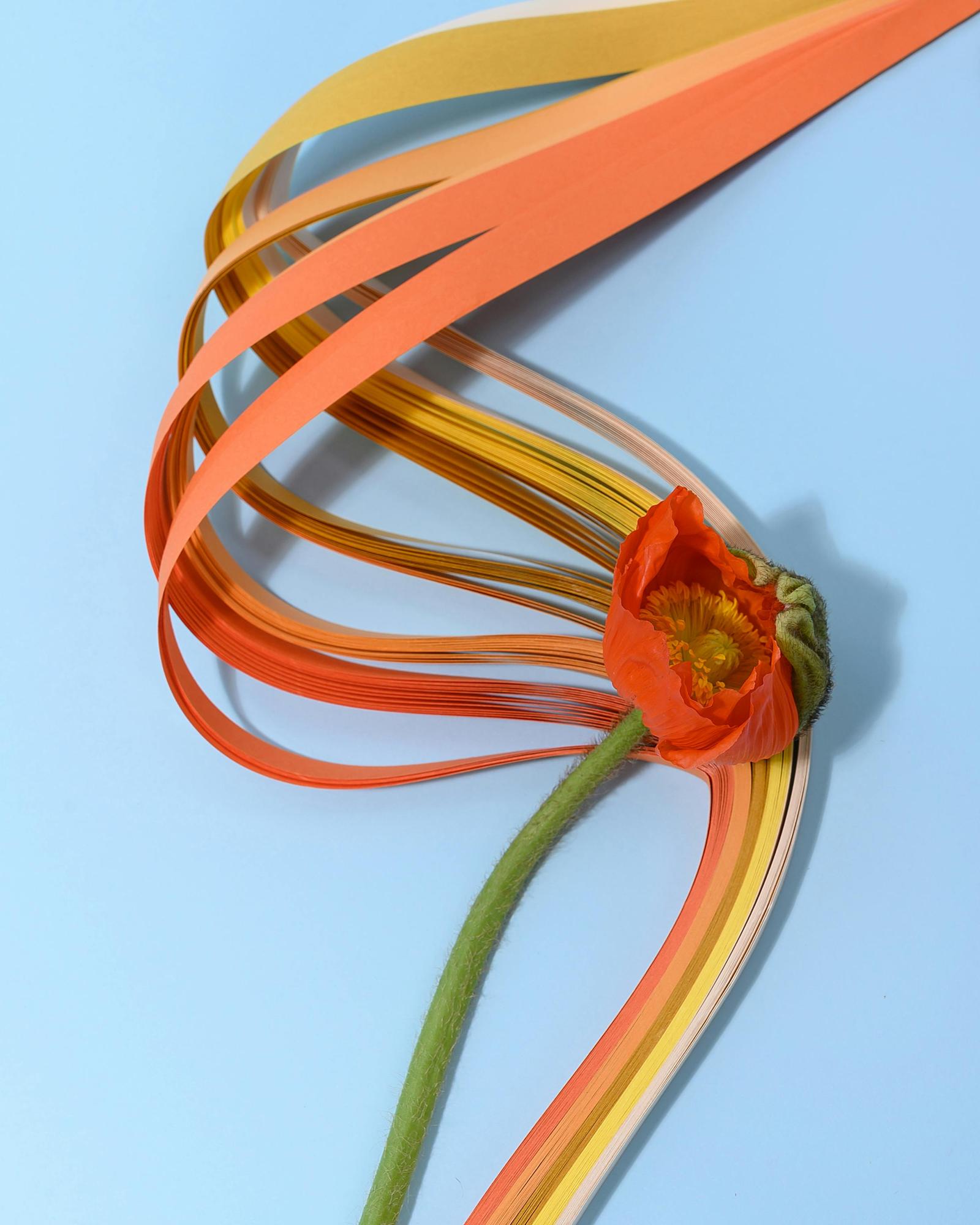 Paper Flowers & Quilling Basics