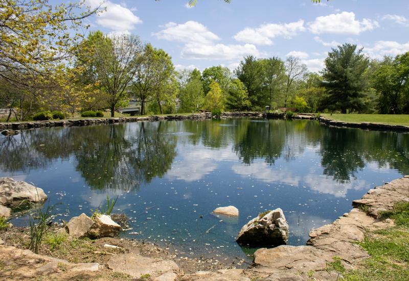 Landscape Photography in Manual Mode Meetup
